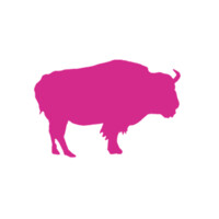 Pink Buffalo Films Logo