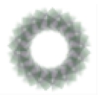 International Market Management Logo