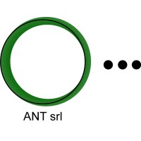 ANT srl Logo