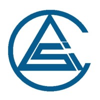 ASI Consulting Group, LLC Logo