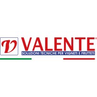 VALENTE Logo