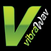 VibraWav Logo