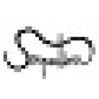 Associacao Serpentina Logo