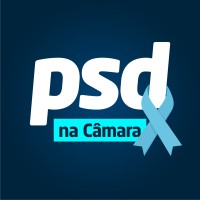 Liderança do PSD na Câmara Logo