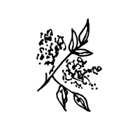 Moore & Moore Living Logo