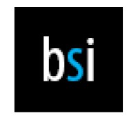 Beryllium Solutions International Logo