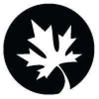 Silver Tree Logo