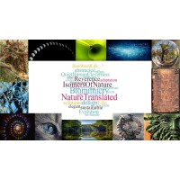 Isomers Of Nature Biomimicry Logo