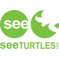 SEE Turtles Logo