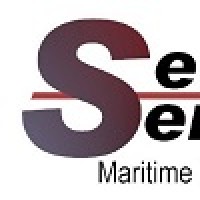 SeaSentries Logo