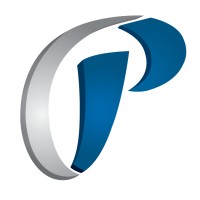 Precision Physical Therapy and Wellness Logo