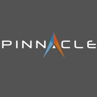 Pinnacle Software, LLC Logo