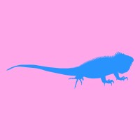 blue iguana records. Logo