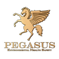 Pegasus EHS Logo