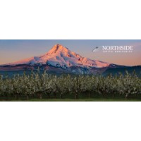 Northside Capital Management, LLC Logo