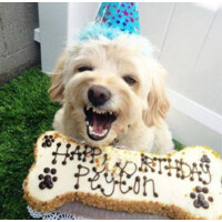 TheDogBakery Logo