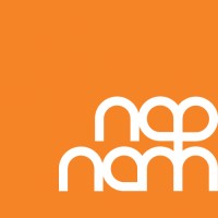 napnam Publishing & Consulting Logo