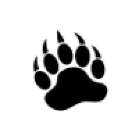 Black Bear Solutions Logo