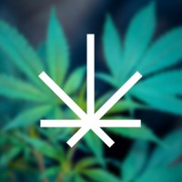 Leafalyze Logo