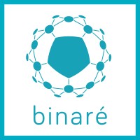 binare.io - IoT pentesters must-have tech Logo