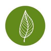 Refresh Steam Cleaning and Restoration Logo