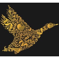 Wilding Snacks Ltd Logo