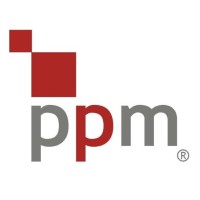 Project Portfolio Management (PPM) Logo