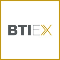 BTI Executive Search Logo