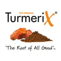 TurmeriX Logo
