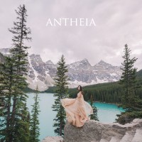 Antheia Photography Logo