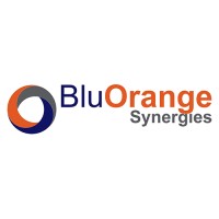 BluOrange Synergies Logo