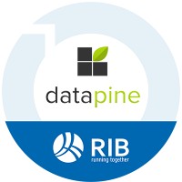 datapine Logo