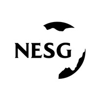 Nigerian Economic Summit Group (NESG) Logo