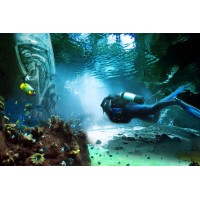 Reef Worlds Logo