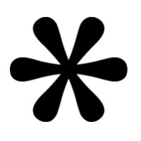 IFUB* Logo