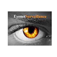 EyeNet Surveillance Logo