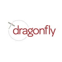Dragonfly Interactive, Digital Design studio in Jersey City, NJ Logo