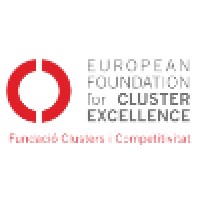 European Foundation for Cluster Excellence (EFCE) Logo