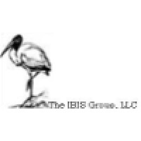 The IBIS Group, LLC Logo
