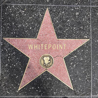 Whitepoint U.S.A. Logo