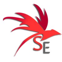 Skywalker Enterprises Logo