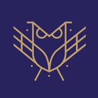 IEESSE - Institut Européen dEtudes en Sûreté-Sécurité pour les Entreprises Logo
