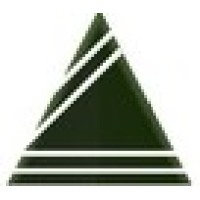 LIT - Translation - Language Consulting Services LLC Logo