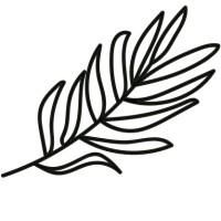 White Fern Logo