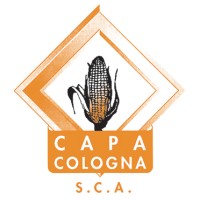 CAPA COLOGNA Logo