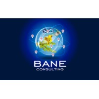 Bane Consulting Logo