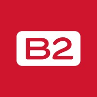 B2VISUAL Logo