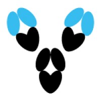 Absolute Antibody Logo