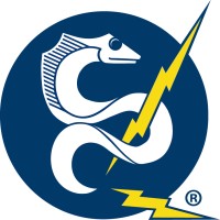 DeepSea Power & Light Logo