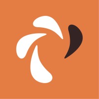 Access Advisors EU Logo